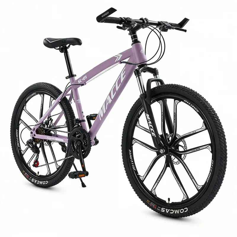 Purple 10-Speed High-End Mount - Cycling Gear Inches 评论和价格