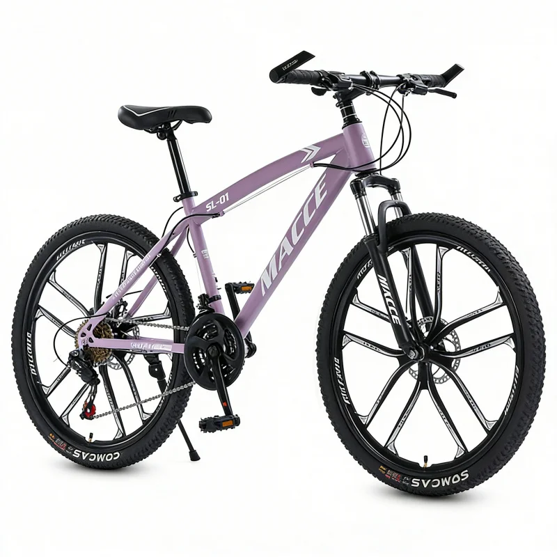 Purple 10-Speed High-End Mount - Cycling Gear Inches 评论和价格